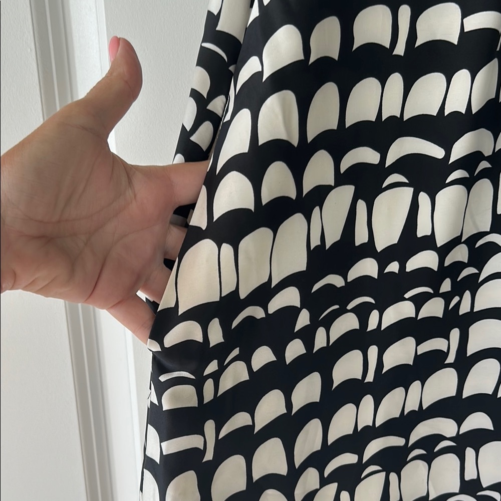 Raina Dress in Black and White - Picture 9 of 13